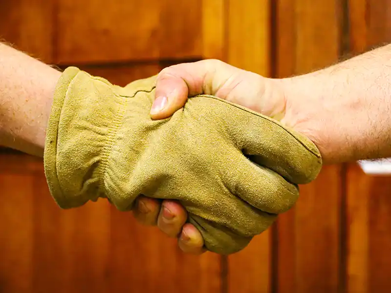 Two people shaking hands
